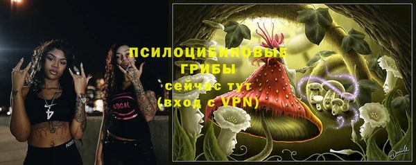 mdpv Алзамай