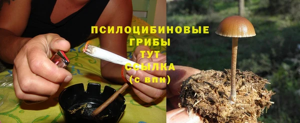 мяу мяу мука Алексин