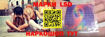 индика Вязьма