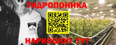 индика Вязьма