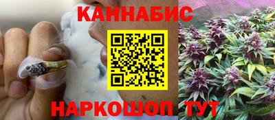 индика Вязьма