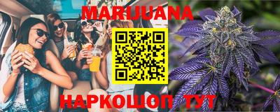 индика Вязьма
