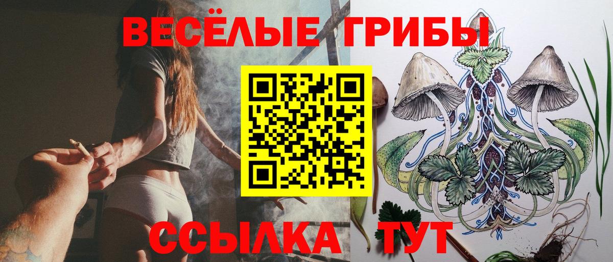 Галлюциногенные грибы Cubensis  цена наркотик  Находка  Вход с VPN 